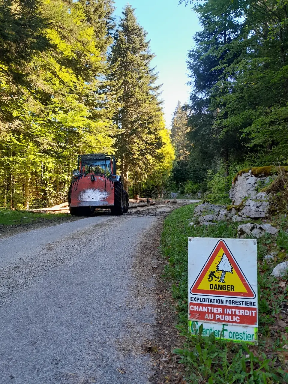 TRAVAUX FORESTIERS : SECURISATION ET VALORISATION DU BOIS EN COURS